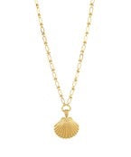 Seashell Pendant Necklace